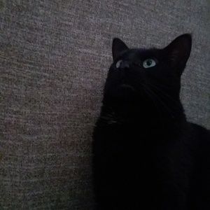 Meet your Posher, Jared